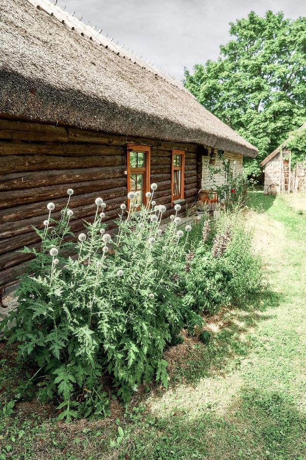 Matsi Cottage Igaküla Buitenkant foto